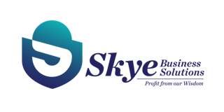 SkyeBiz